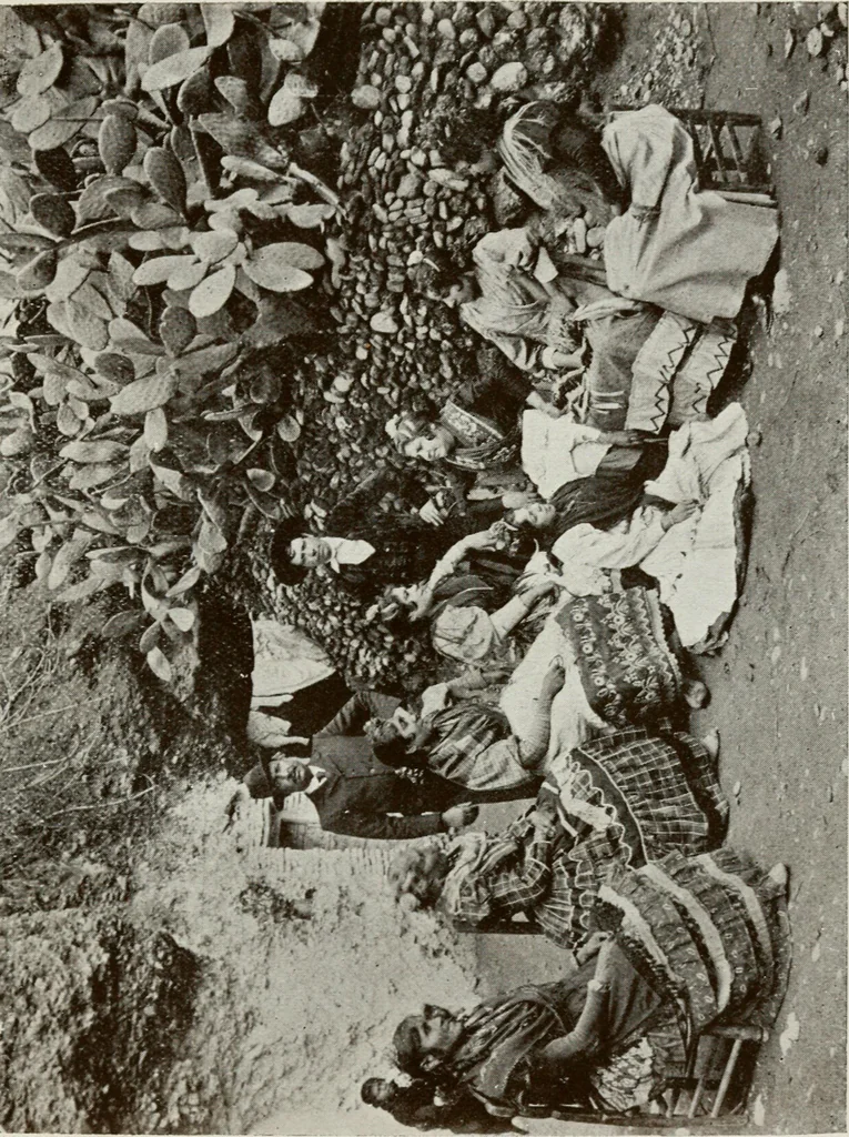 An illustration from Granada and the Alhambra, a brief description of the ancient city of Granada, with a particular account of the Moorish palace, 1907, leaf 563