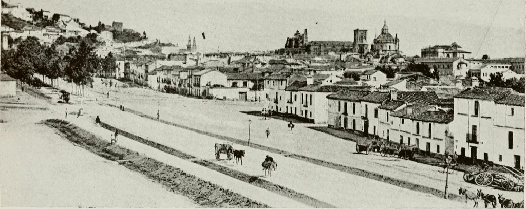 An illustration from Granada and the Alhambra, a brief description of the ancient city of Granada, with a particular account of the Moorish palace, 1907, leaf 565