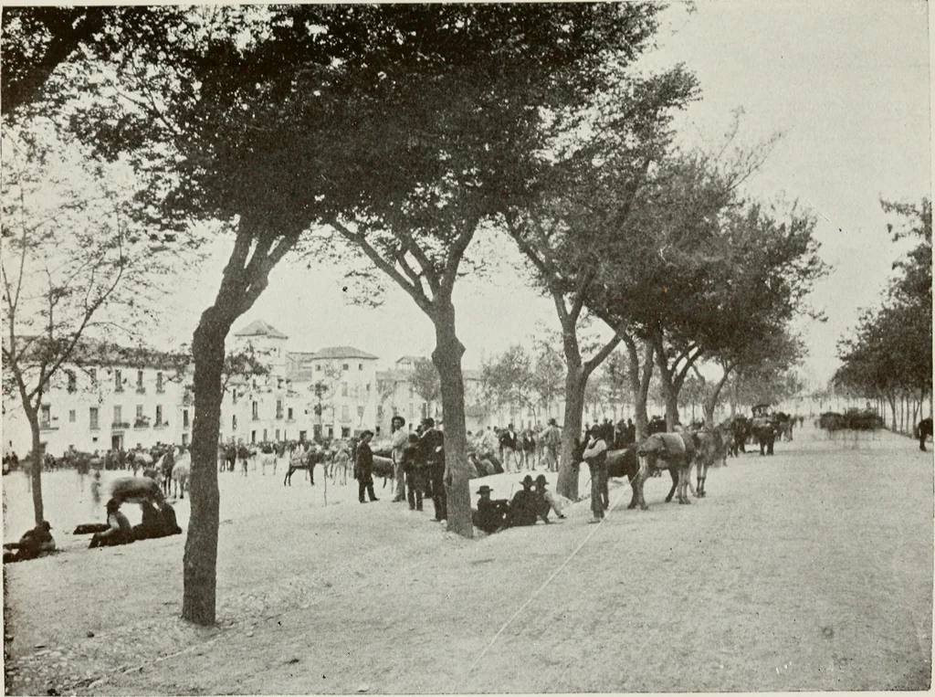 An illustration from Granada and the Alhambra, a brief description of the ancient city of Granada, with a particular account of the Moorish palace, 1907, leaf 577