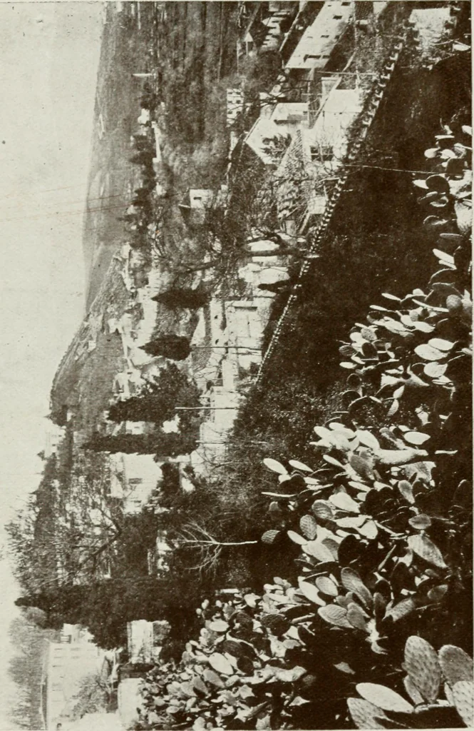 An illustration from Granada and the Alhambra, a brief description of the ancient city of Granada, with a particular account of the Moorish palace, 1907, leaf 579