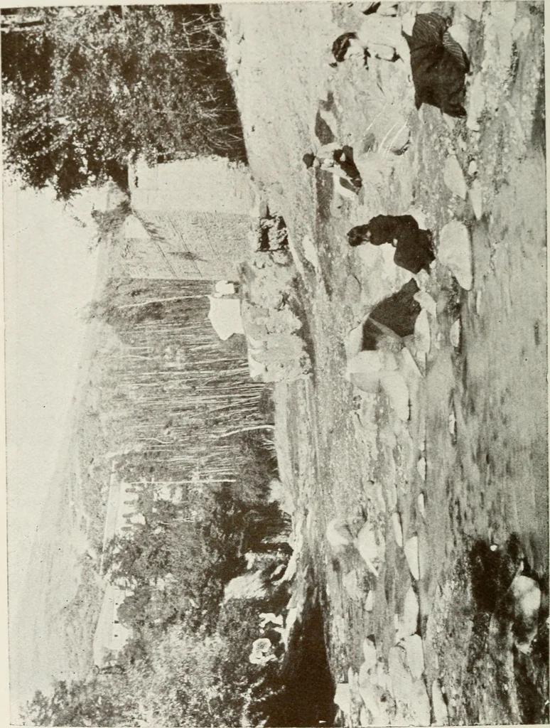 An illustration from Granada and the Alhambra, a brief description of the ancient city of Granada, with a particular account of the Moorish palace, 1907, leaf 584