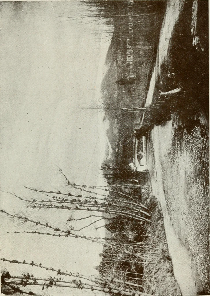 An illustration from Granada and the Alhambra, a brief description of the ancient city of Granada, with a particular account of the Moorish palace, 1907, leaf 587