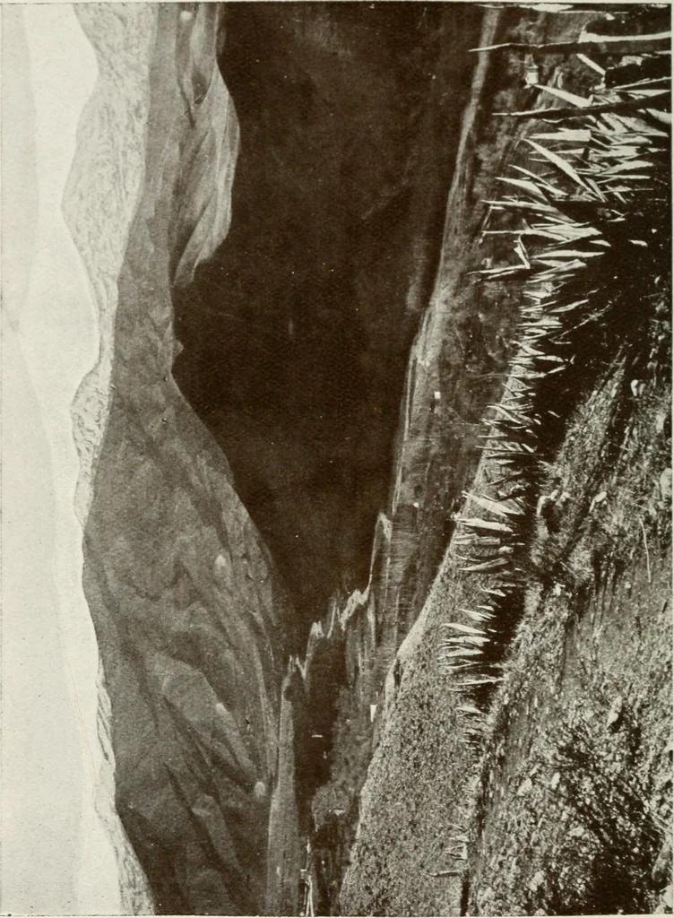 An illustration from Granada and the Alhambra, a brief description of the ancient city of Granada, with a particular account of the Moorish palace, 1907, leaf 588