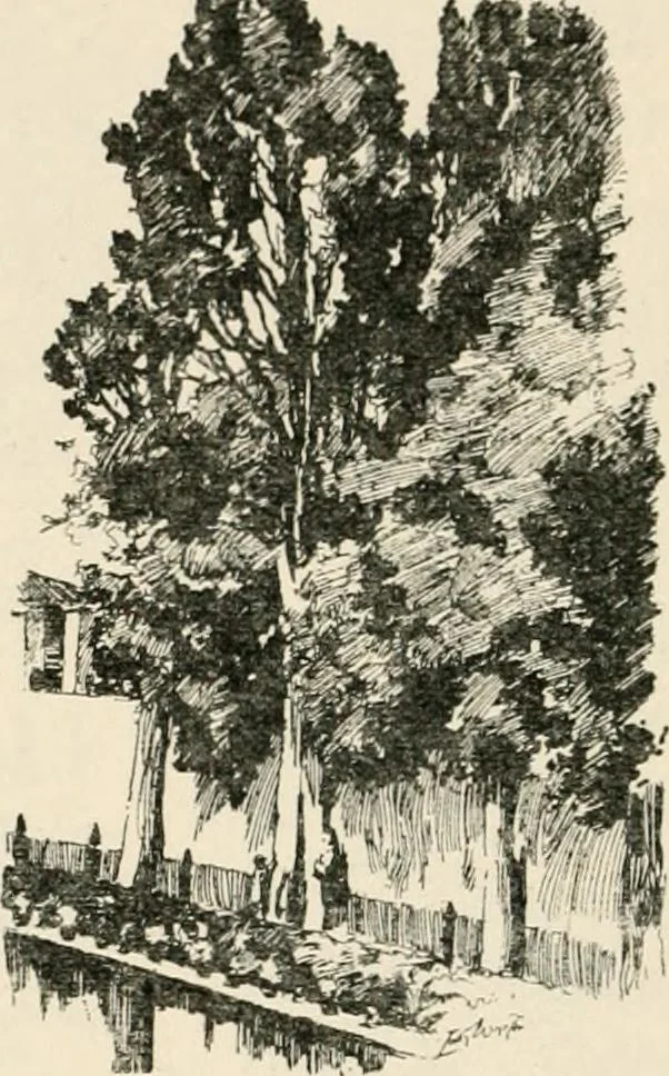 An illustration from Granada, present and bygone, 1908, leaf 212