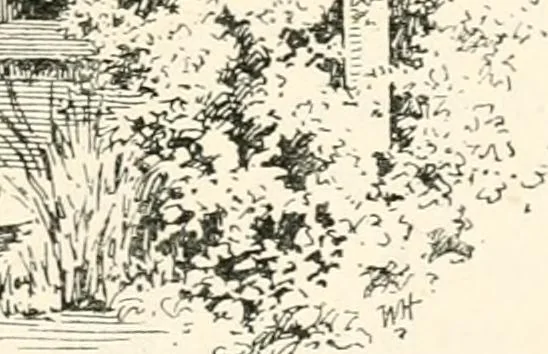 An illustration from Granada, present and bygone, 1908, leaf 219