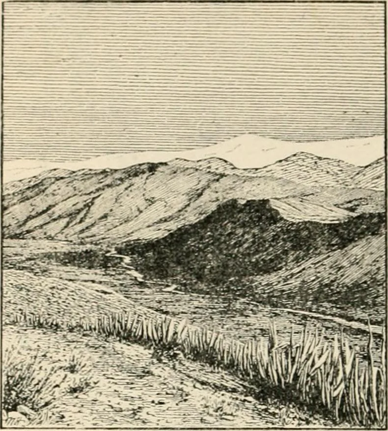 An illustration from Granada, present and bygone, 1908, leaf 34