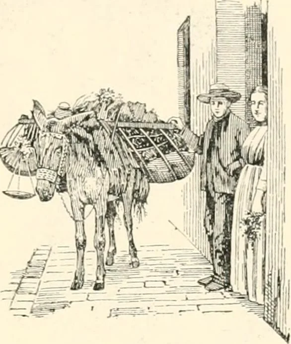 An illustration from Granada, present and bygone, 1908, leaf 345