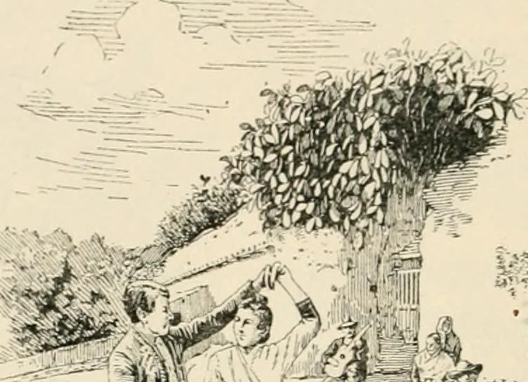 An illustration from Granada, present and bygone, 1908, leaf 348