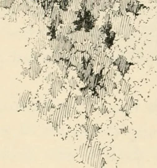 An illustration from Granada, present and bygone, 1908, leaf 60