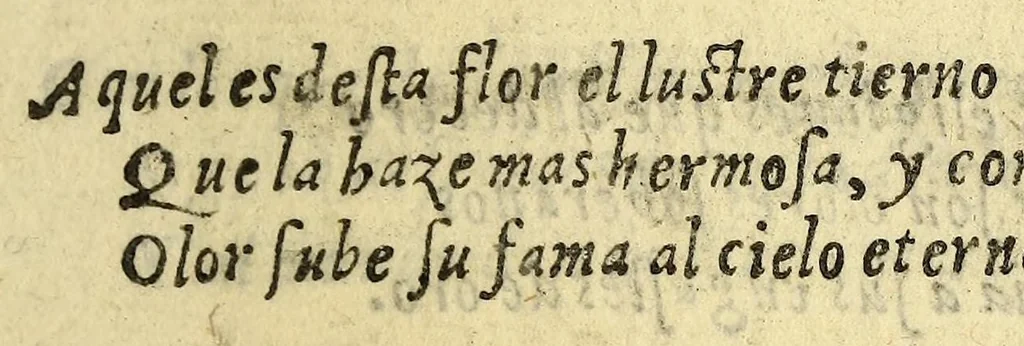 An illustration from Grandeza mexicana, 1604, leaf 211