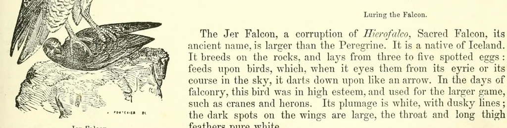 An illustration from Grand illustrated encyclopedia of animated nature : embracing a full description of the different races of men, and of the characteristic habits and modes of life of the various beasts, birds, fishes, insects, reptiles, and microscopic animalcula of the globe : being a complete history of the animal kingdom, 1855, leaf 225