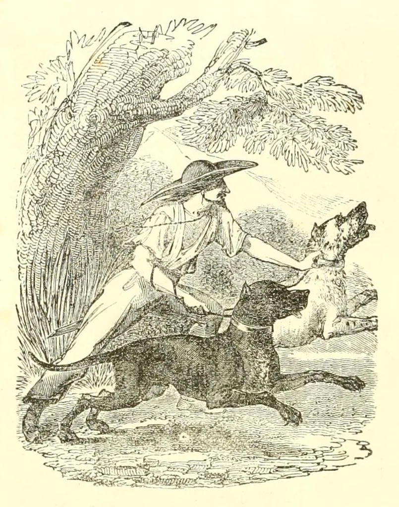 An illustration from Grand illustrated encyclopedia of animated nature : embracing a full description of the different races of men, and of the characteristic habits and modes of life of the various beasts, birds, fishes, insects, reptiles, and microscopic animalcula of the globe : being a complete history of the animal kingdom, 1855, leaf 76
