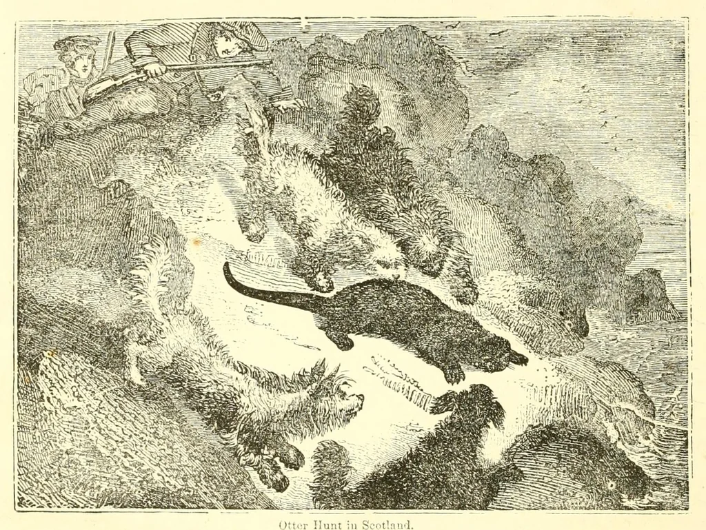 An illustration from Grand illustrated encyclopedia of animated nature : embracing a full description of the different races of men, and of the characteristic habits and modes of life of the various beasts, birds, fishes, insects, reptiles, and microscopic animalcula of the globe : being a complete history of the animal kingdom, 1855, leaf 98