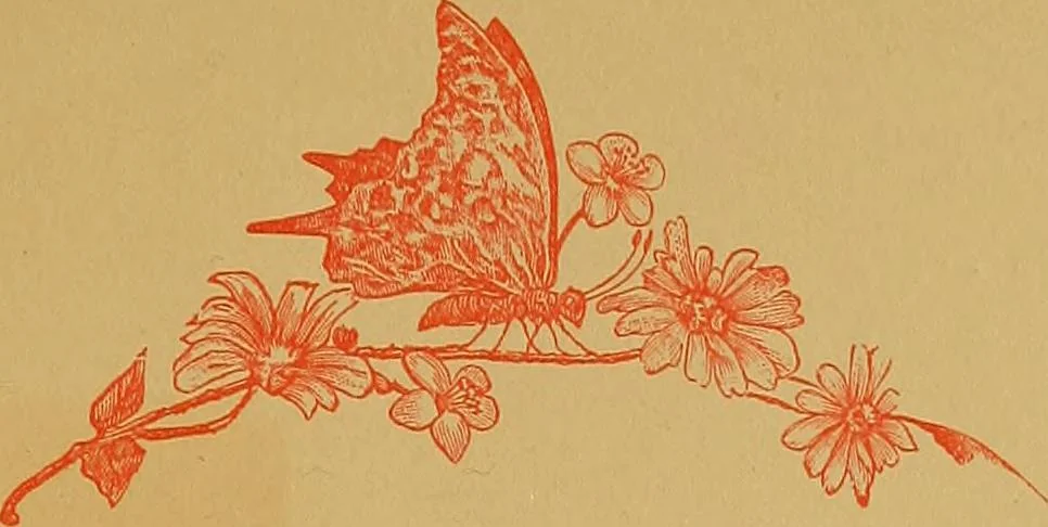 An illustration from Grandma's garden, with many original poems;, 1882, leaf 10