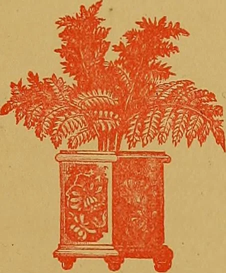 An illustration from Grandma's garden, with many original poems;, 1882, leaf 46