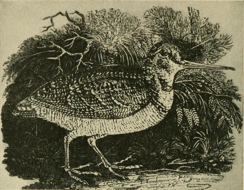 An illustration from The graphic arts; modern men and modern methods, 1921, leaf 49