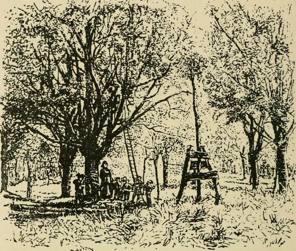 An illustration from The graphic arts; modern men and modern methods, 1921, leaf 53