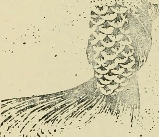An illustration from The graphic arts; modern men and modern methods, 1921, leaf 83