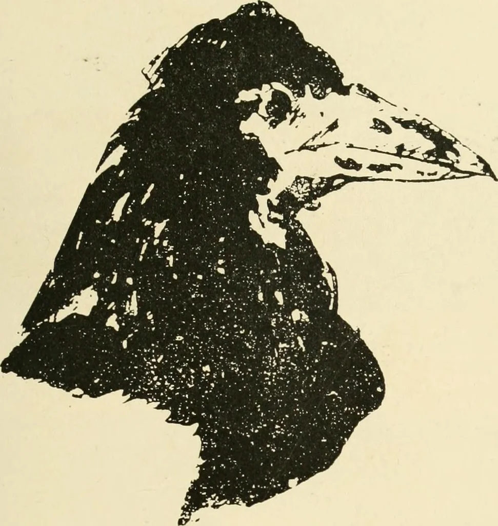 An illustration from The graphic arts; modern men and modern methods, 1921, leaf 84