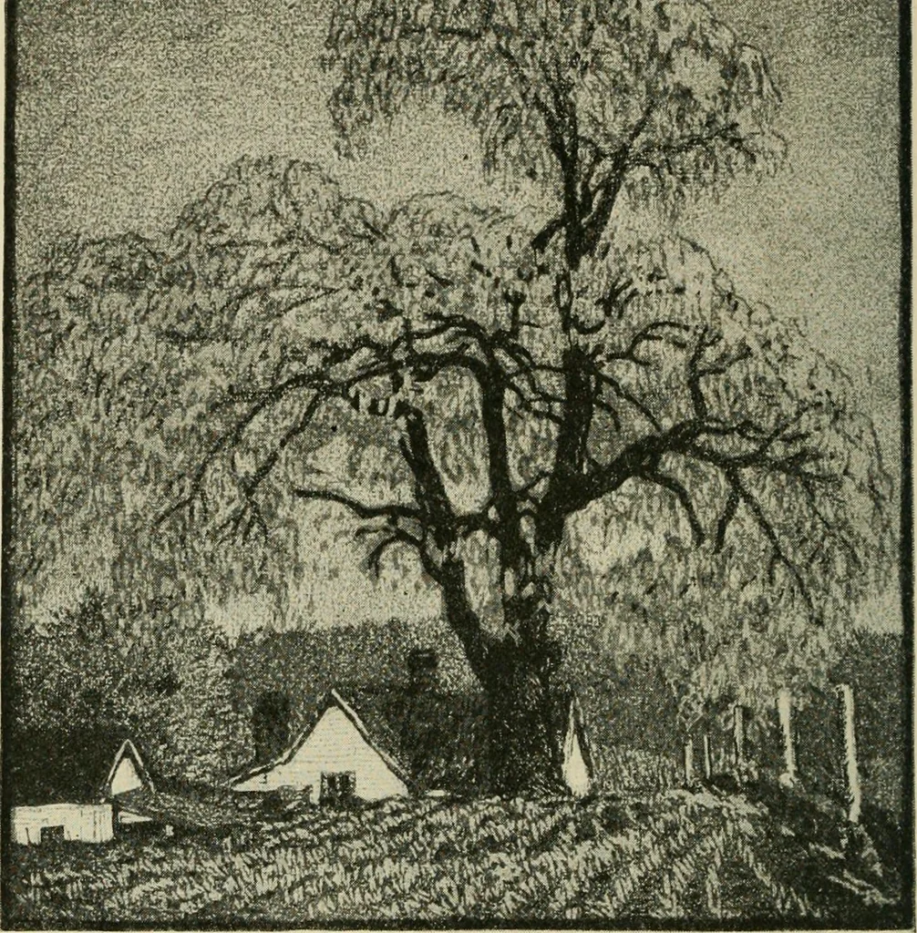 An illustration from The graphic arts; modern men and modern methods, 1921, leaf 89