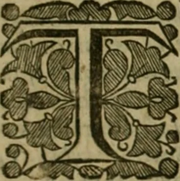 An illustration from Graphice, the use of the pen and pensil, or, The most excellent art of painting : in two parts, 1658, leaf 24