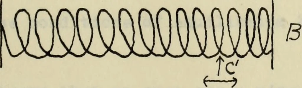 An illustration from A graphic study of sounds waves emitted by singing tubes, 1920, leaf 22