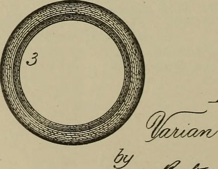 An illustration from [Graphophone patents], 1878, leaf 655