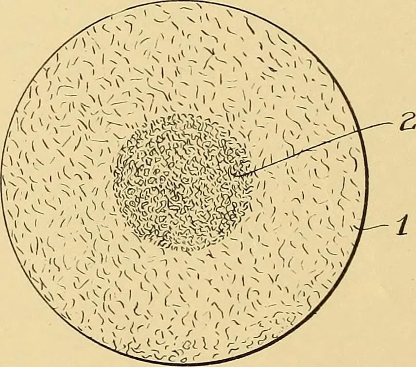 An illustration from [Graphophone patents], 1878, leaf 813