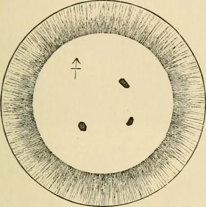 An illustration from Grave-mounds and their contents; a manual of archaeology, as exemplified in the burials of the Celtic, the Romano-British, and the Anglo-Saxon periods, 1870, leaf 111