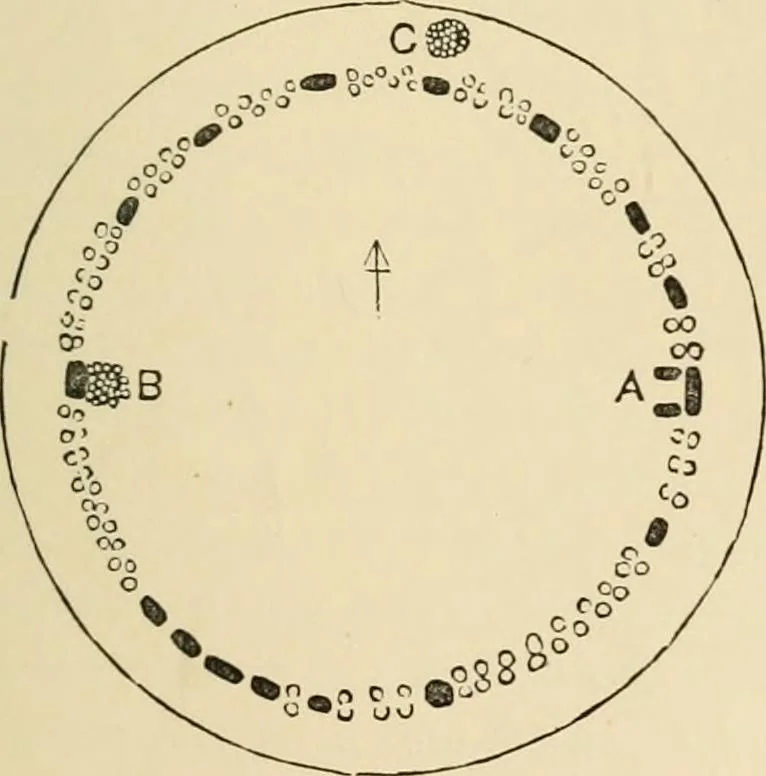 An illustration from Grave-mounds and their contents; a manual of archaeology, as exemplified in the burials of the Celtic, the Romano-British, and the Anglo-Saxon periods, 1870, leaf 111