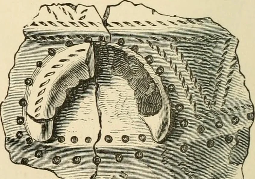 An illustration from Grave-mounds and their contents; a manual of archaeology, as exemplified in the burials of the Celtic, the Romano-British, and the Anglo-Saxon periods, 1870, leaf 126