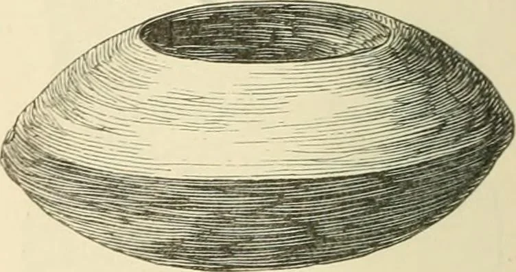 An illustration from Grave-mounds and their contents; a manual of archaeology, as exemplified in the burials of the Celtic, the Romano-British, and the Anglo-Saxon periods, 1870, leaf 136