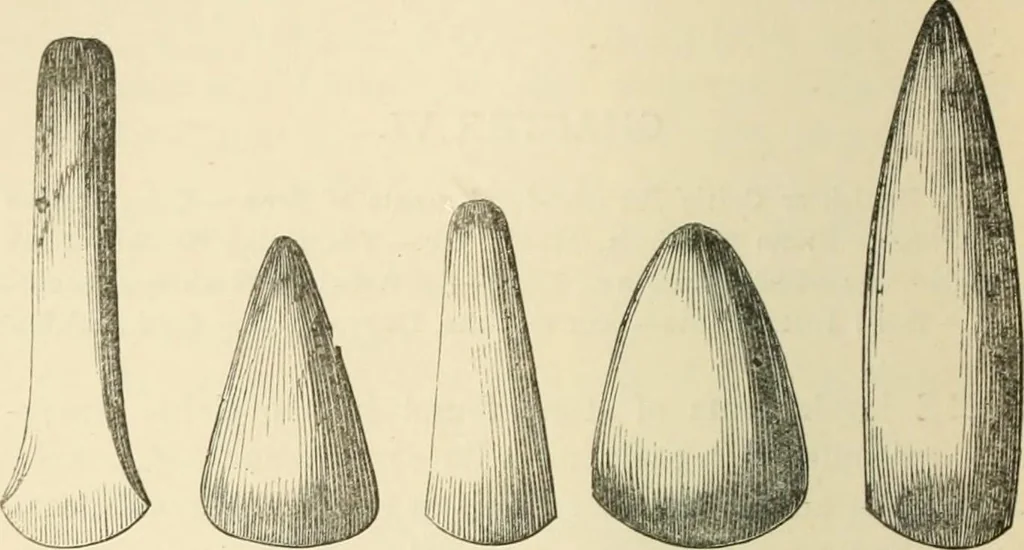 An illustration from Grave-mounds and their contents; a manual of archaeology, as exemplified in the burials of the Celtic, the Romano-British, and the Anglo-Saxon periods, 1870, leaf 140