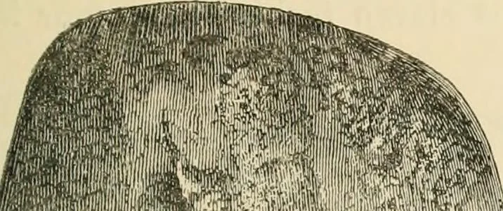 An illustration from Grave-mounds and their contents; a manual of archaeology, as exemplified in the burials of the Celtic, the Romano-British, and the Anglo-Saxon periods, 1870, leaf 141