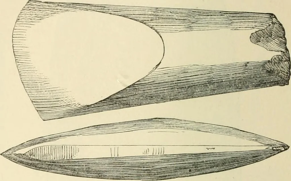 An illustration from Grave-mounds and their contents; a manual of archaeology, as exemplified in the burials of the Celtic, the Romano-British, and the Anglo-Saxon periods, 1870, leaf 142