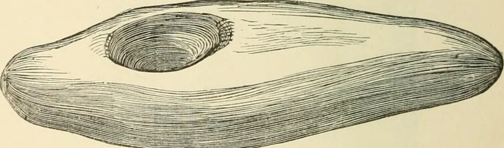 An illustration from Grave-mounds and their contents; a manual of archaeology, as exemplified in the burials of the Celtic, the Romano-British, and the Anglo-Saxon periods, 1870, leaf 142
