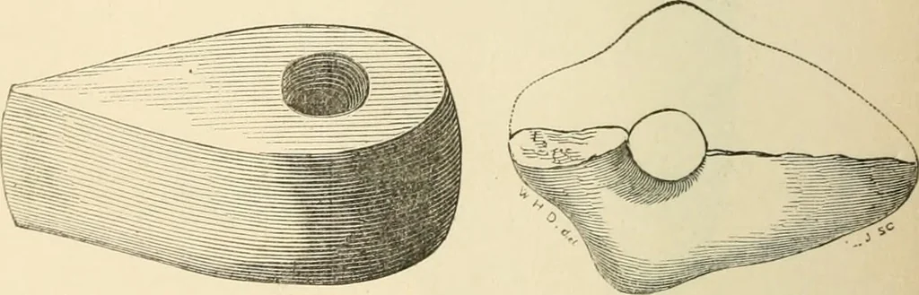 An illustration from Grave-mounds and their contents; a manual of archaeology, as exemplified in the burials of the Celtic, the Romano-British, and the Anglo-Saxon periods, 1870, leaf 142