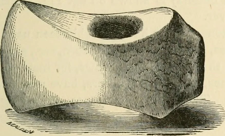 An illustration from Grave-mounds and their contents; a manual of archaeology, as exemplified in the burials of the Celtic, the Romano-British, and the Anglo-Saxon periods, 1870, leaf 143