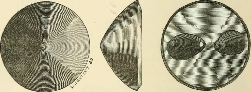 An illustration from Grave-mounds and their contents; a manual of archaeology, as exemplified in the burials of the Celtic, the Romano-British, and the Anglo-Saxon periods, 1870, leaf 156
