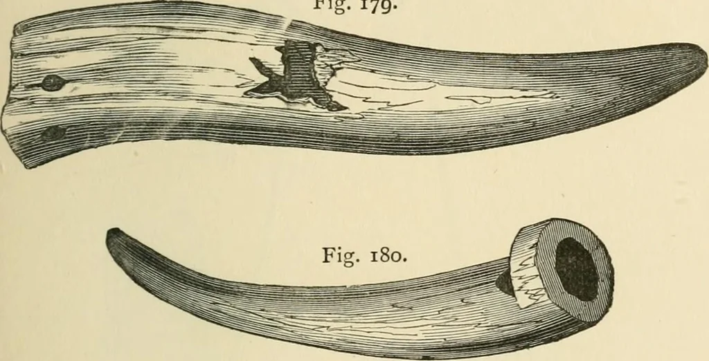 An illustration from Grave-mounds and their contents; a manual of archaeology, as exemplified in the burials of the Celtic, the Romano-British, and the Anglo-Saxon periods, 1870, leaf 157