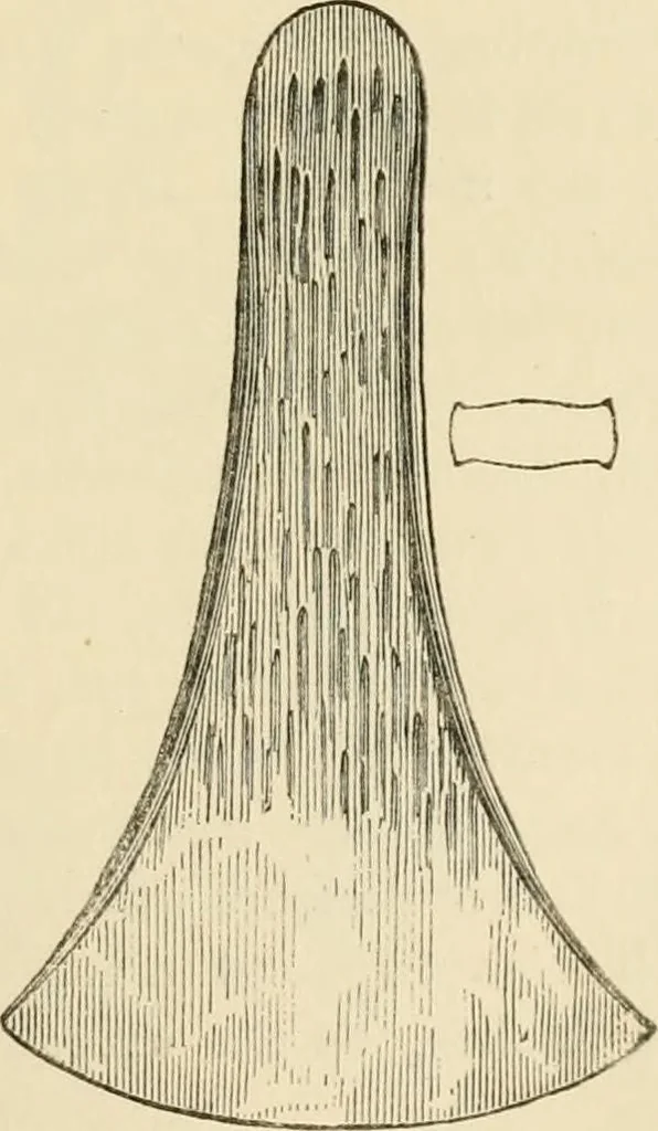 An illustration from Grave-mounds and their contents; a manual of archaeology, as exemplified in the burials of the Celtic, the Romano-British, and the Anglo-Saxon periods, 1870, leaf 159