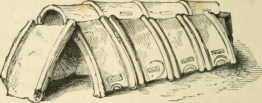 An illustration from Grave-mounds and their contents; a manual of archaeology, as exemplified in the burials of the Celtic, the Romano-British, and the Anglo-Saxon periods, 1870, leaf 178