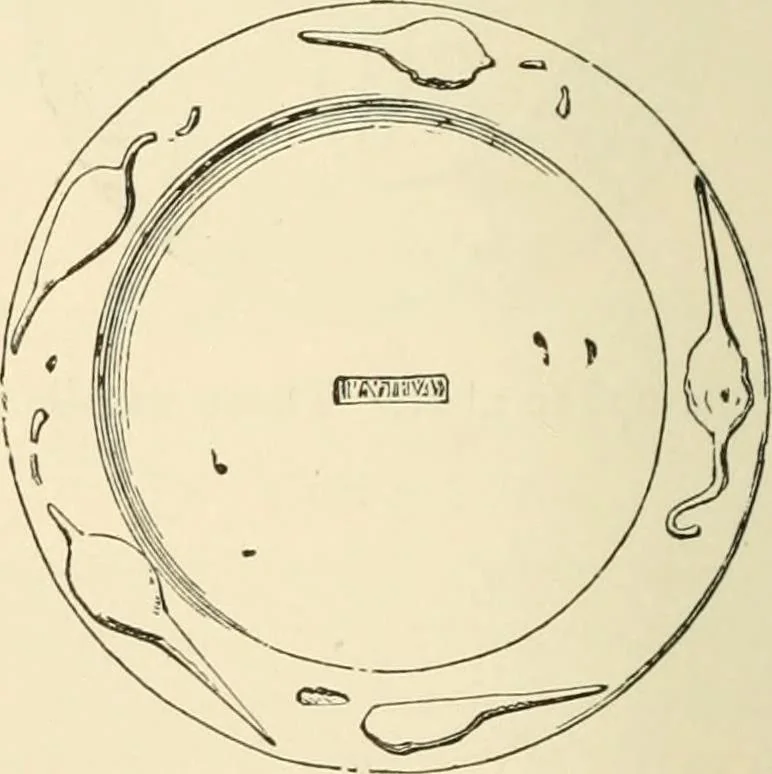 An illustration from Grave-mounds and their contents; a manual of archaeology, as exemplified in the burials of the Celtic, the Romano-British, and the Anglo-Saxon periods, 1870, leaf 210