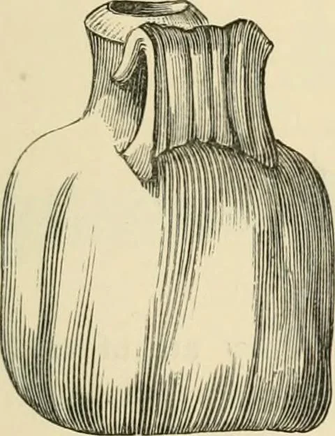 An illustration from Grave-mounds and their contents; a manual of archaeology, as exemplified in the burials of the Celtic, the Romano-British, and the Anglo-Saxon periods, 1870, leaf 215