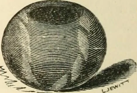 An illustration from Grave-mounds and their contents; a manual of archaeology, as exemplified in the burials of the Celtic, the Romano-British, and the Anglo-Saxon periods, 1870, leaf 216