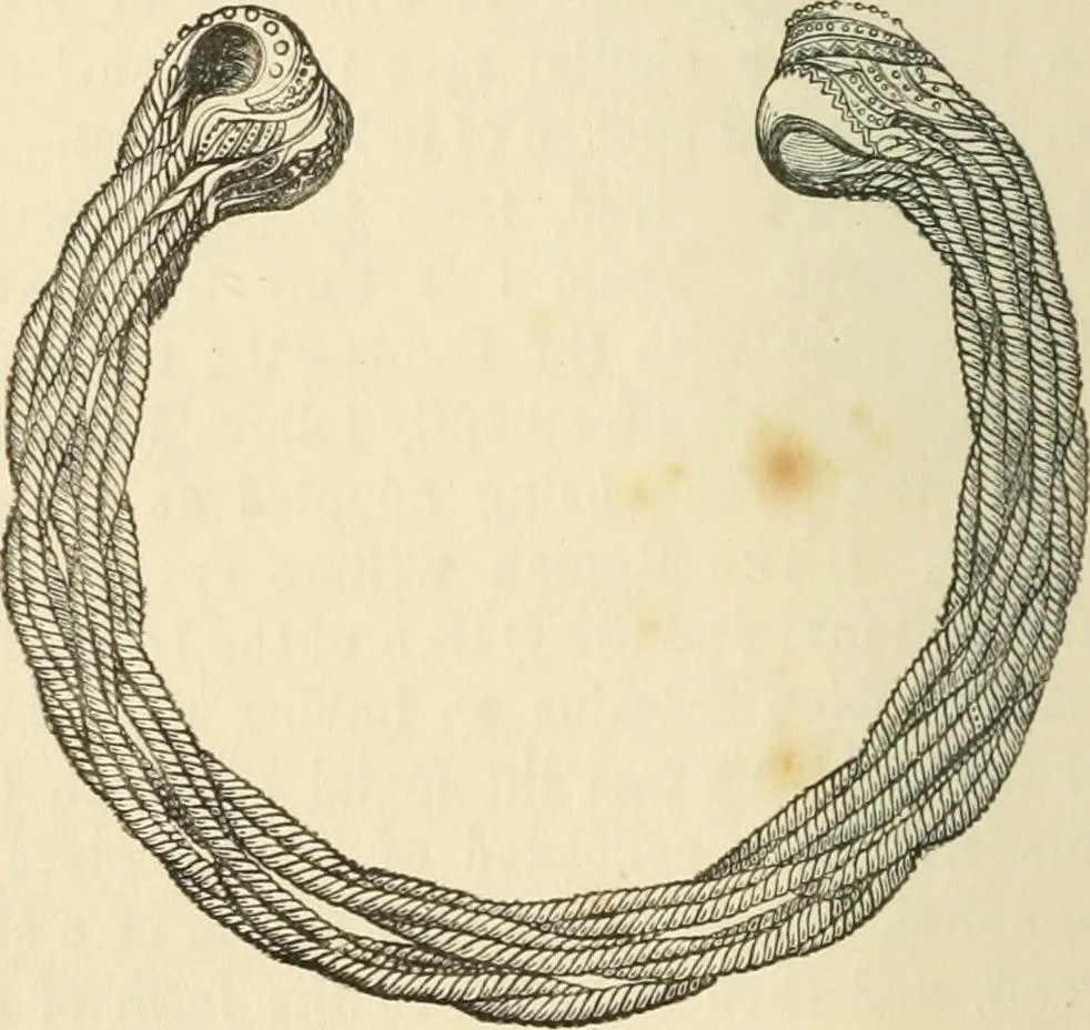 An illustration from Grave-mounds and their contents; a manual of archaeology, as exemplified in the burials of the Celtic, the Romano-British, and the Anglo-Saxon periods, 1870, leaf 228