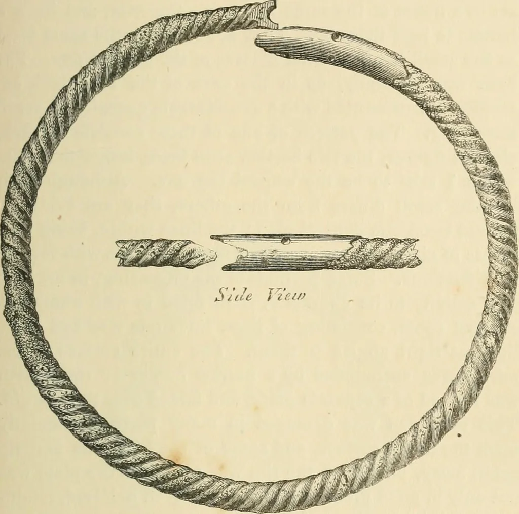 An illustration from Grave-mounds and their contents; a manual of archaeology, as exemplified in the burials of the Celtic, the Romano-British, and the Anglo-Saxon periods, 1870, leaf 229