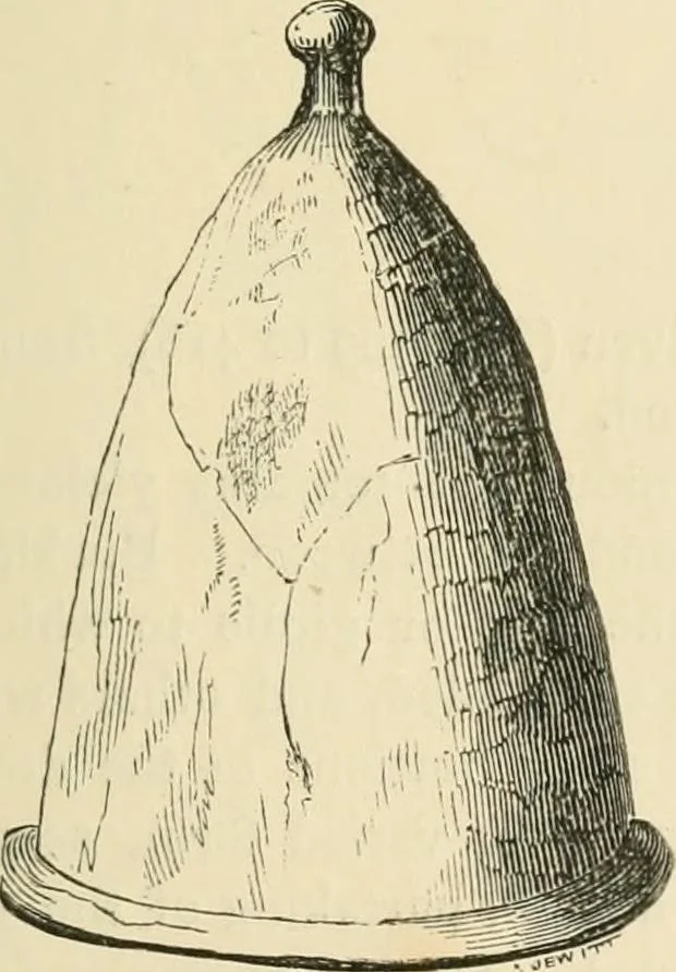 An illustration from Grave-mounds and their contents; a manual of archaeology, as exemplified in the burials of the Celtic, the Romano-British, and the Anglo-Saxon periods, 1870, leaf 277