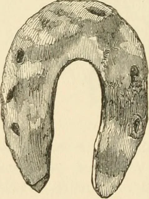 An illustration from Grave-mounds and their contents; a manual of archaeology, as exemplified in the burials of the Celtic, the Romano-British, and the Anglo-Saxon periods, 1870, leaf 294