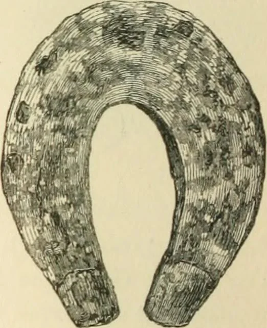 An illustration from Grave-mounds and their contents; a manual of archaeology, as exemplified in the burials of the Celtic, the Romano-British, and the Anglo-Saxon periods, 1870, leaf 294